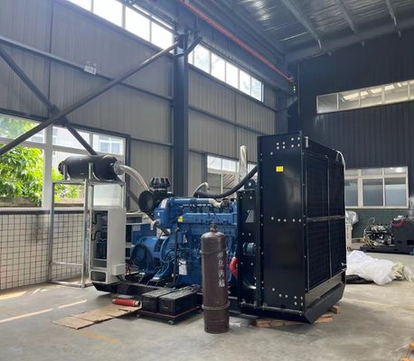 Dobra cena 50Hz 60Hz Dźwiękoszczelny Kontener Otwarty Typ Ciągły 200KW 250KVA Generator Elektryczny Zasilany LPG w Internecie