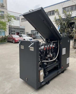 Dobra cena High Efficiency CE Approved Micro Biogas CHP Mini Cogenerator Set Unit System 16kw 20kva w Internecie