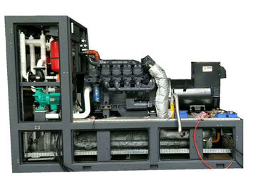 Dobra cena 280KVA 220KW Biogas Electric Generator Stable Performance Easy Maintenance w Internecie