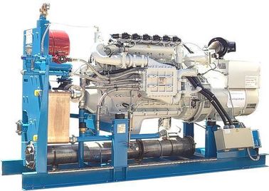 Dobra cena 60Hz 127V 3 Phase Biogas Generator Set , Biomass Gas Generator Silent / Open Design w Internecie
