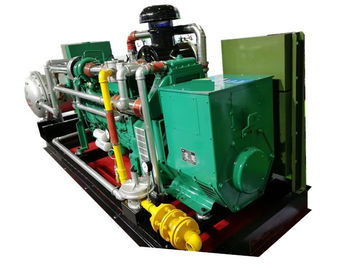 Dobra cena 300KVA 250KW 60Hz Biogas CHP , Remote Monitoring CHP Cogeneration Systems w Internecie